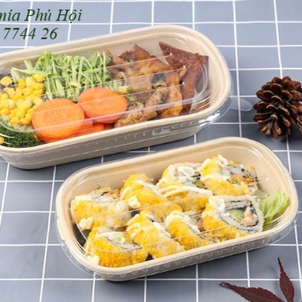 Hộp bã mía 1 ngăn nắp nhựa PET 700ml tại Quận 8 TP HCM